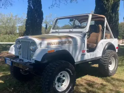 Usata Jeep CJ 1970 Bianco SUV