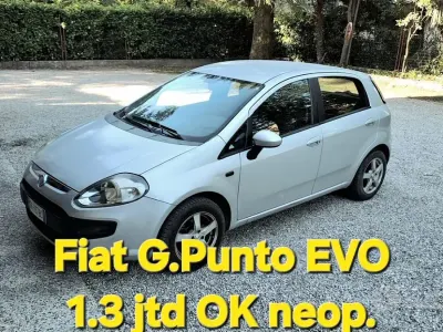 Usata Fiat Punto Evo 75 CV (55 kW) 2010 Grigio Utilitaria