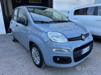 Usata Fiat Panda 69 CV (50 kW) 2020 Grigio Utilitaria