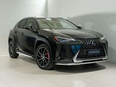 usata Lexus UX 200 Hybrid Premium