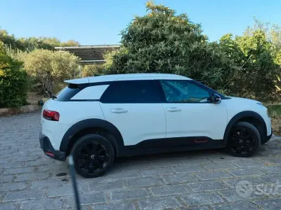 Usata Citroën C4 Cactus 120 CV (88 kW) 2019 Bianco Utilitaria