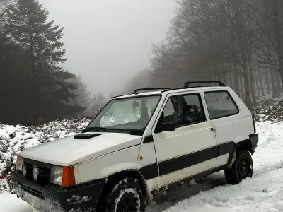 Usata Fiat Panda 4x4 54 CV (39 kW) 1996 Utilitaria