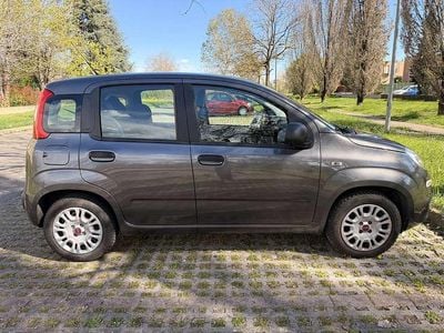 Usata Fiat Panda Lounge 69 CV (50 kW) 2019 Grigio Utilitaria