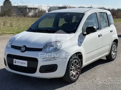 Usata Fiat Panda Easy 69 CV (50 kW) 2020 Bianco Utilitaria