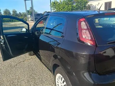 Usata Fiat Punto 75 CV (55 kW) 2015 Nero Utilitaria