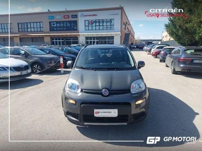 usata Fiat Panda Cross 1.0 FireFly S&S Hybrid City del 2022 usata a Vitulazio