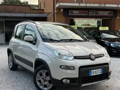 Usata Fiat Panda 4x4 S 75 CV (55 kW) 2013 Grigio Utilitaria