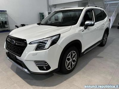 usata Subaru Forester 2.0 e-Boxer MHEV CVT Lineartronic Free Padova