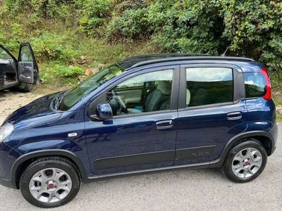 usata Fiat Panda 4x4 Panda 1.3 mjt 16v s