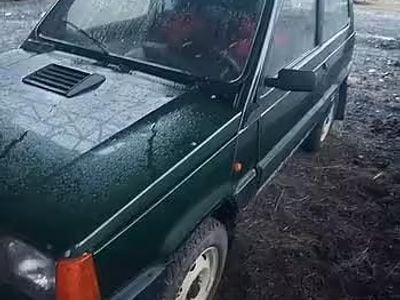 Usata Fiat Panda 4x4 1989 Verde Utilitaria
