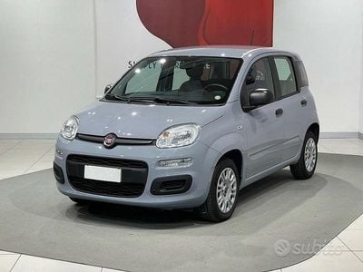 Usata Fiat Panda Easy 69 CV (50 kW) 2020 Grigio Utilitaria