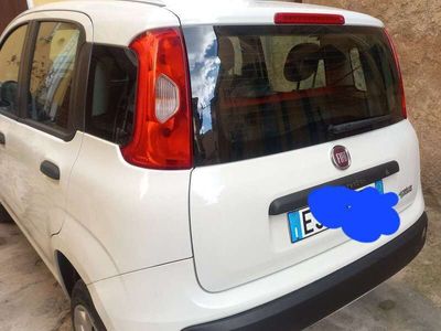 usata Fiat Panda 0.9 t.air t. natural power Easy 80cv