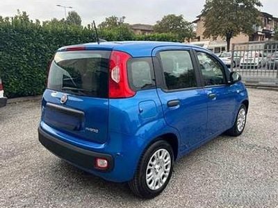 Usata Fiat Panda 2024 Utilitaria