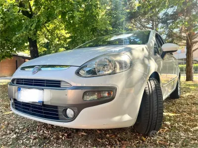 Usata Fiat Punto Evo Dynamic 65 CV (47 kW) 2011 Bianco Utilitaria