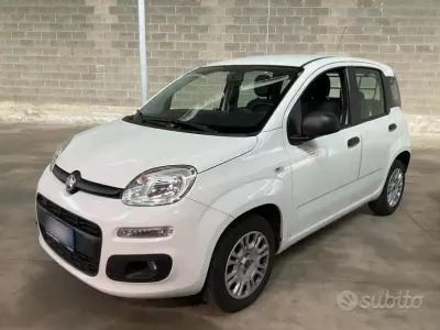 Usata Fiat Panda Easy 69 CV (50 kW) 2019 Bianco Utilitaria