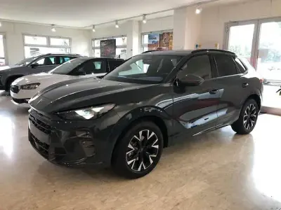 Usata Cupra Terramar