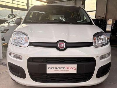 Nuova Fiat Panda S 69 CV (50 kW) 2025 Bianco Utilitaria