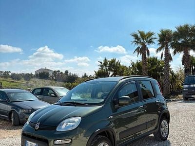 Usata Fiat Panda 4x4 S 95 CV (69 kW) 2017 Verde Utilitaria