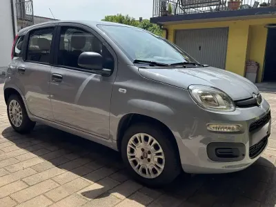 Usata Fiat Panda Easy 69 CV (50 kW) 2018 Utilitaria
