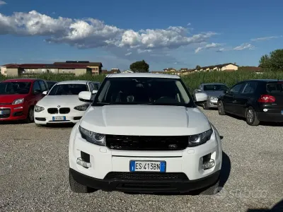 Usata Land Rover Range Rover evoque Prestige 150 CV (110 kW) 2013 Bianco SUV