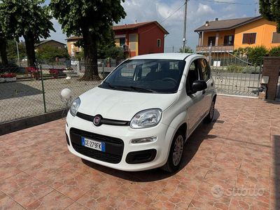Usata Fiat Panda 2021 Utilitaria
