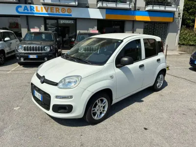 Usata Fiat Panda