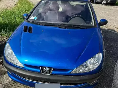 Usata Peugeot 206
