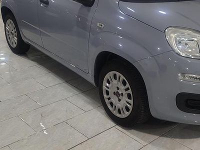 Usata Fiat Panda 69 CV (50 kW) 2018 Utilitaria