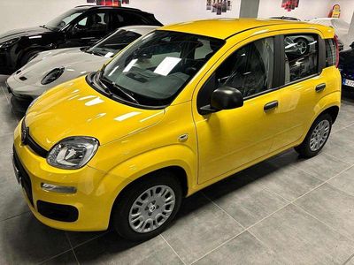 Nuova Fiat Panda Pop 70 CV (51 kW) 2025 Giallo positano pastello Berlina