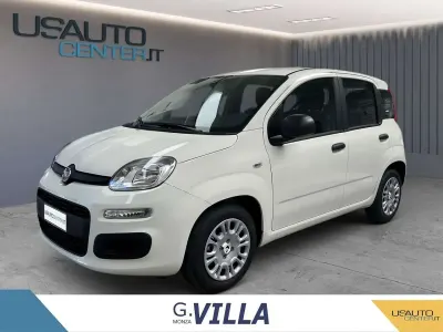 Usata Fiat Panda S 70 CV (51 kW) 2024 Bianco Utilitaria