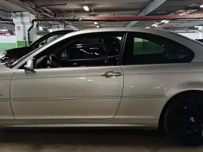 Usata BMW 318