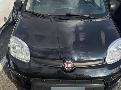 Usata Fiat Panda Easy 69 CV (50 kW) 2023 Nero Utilitaria