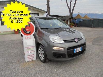 usata Fiat Panda 1.0 1.0 FireFly S&S Hybrid neopatentati