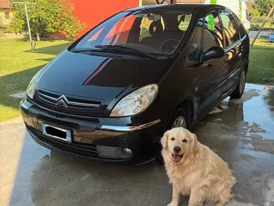 Usata Citroën Xsara Picasso