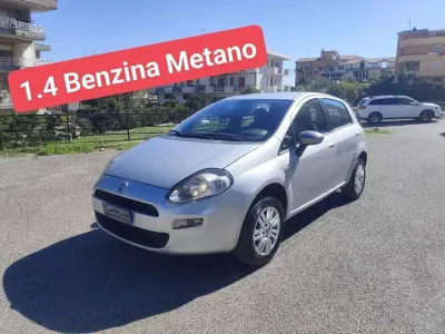 Usata Fiat Punto Evo