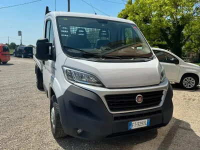 Usata Fiat Ducato 131 CV (96 kW) 2019 Bianco Furgone