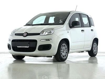 Usata Fiat Panda S 69 CV (50 kW) 2022 Bianco Utilitaria