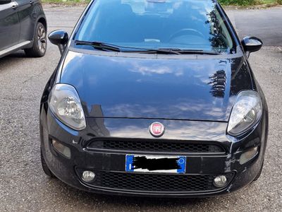 usata Fiat Punto Punto 1.2 8V 5 porte Young