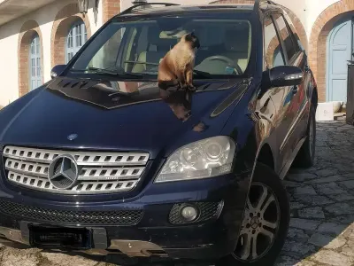 Occasion Mercedes ML280 190 ch (139 kW) 2006 Bleue SUV
