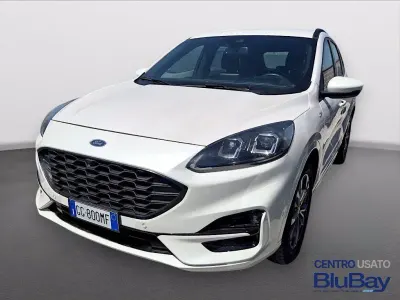 Usata Ford Kuga ST-Line 190 CV (139 kW) 2022 Platinum white (colore speciale) SUV