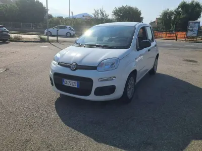 Usata Fiat Panda Connect 69 CV (50 kW) 2021 Bianco Utilitaria
