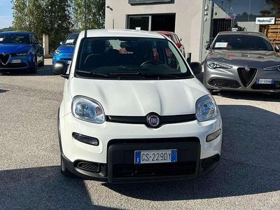 Bianco Usata 2023 Fiat Panda S Utilitaria | 11.500 € (Buon prezzo)