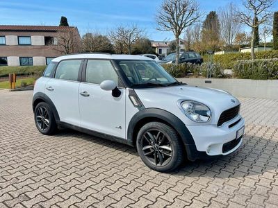 usata Mini Countryman S