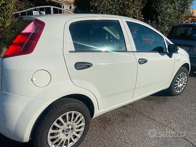 Usata Fiat Punto 2013 Bianco Utilitaria