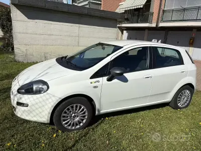Usata Fiat Punto 77 CV (56 kW) 2015 Bianco Utilitaria