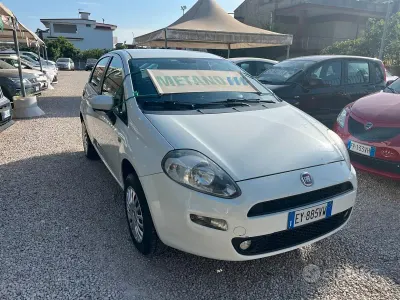 Usata Fiat Punto Lounge 70 CV (51 kW) 2015 Bianco Utilitaria