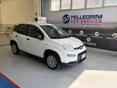 Usata Fiat Panda