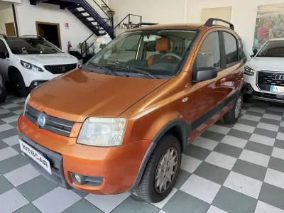 Usata Fiat Panda 4x4 Climbing 60 CV (44 kW) 2007 Bronzo Utilitaria