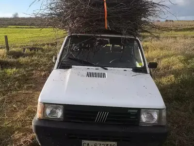 Usata Fiat Panda 34 CV (25 kW) 1991 Bianco Berlina