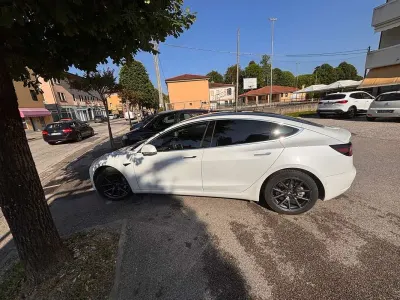 Usata Tesla Model 3 Long Range AWD 152 kW (208 CV) 2019 Bianco Berlina